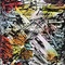 Judy Millar - Do Be Do  at Hamish Morrison Galerie on Berlin Art Grid