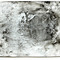 On Liquidised Photographs After Images and The Holy Veronica at Import Projects on Berlin Art Grid