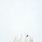 NOGUCHI Rika: A Man and Some Birds at LOOCK Galerie on Berlin Art Grid