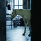 Culture:City at Akademie der Künste on Berlin Art Grid