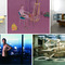 Stanze / Rooms - Works from the Sandretto Re Rebaudengo Collection at me Collectors Room / Stiftung Olbricht on Berlin Art Grid