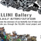 Butterflies Out Of Eden Extended at FELLINI Gallery on Berlin Art Grid
