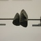 OBLIVION - Anne Duk Hee Jordan, Jacob Kirkegaard, Luke Munn, Virginie Rebetez, Sam Smith at Zweigstelle Berlin on Berlin Art Grid