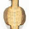 Intermedial at 401contemporary on Berlin Art Grid