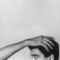 Robert Mapplethorpe: Sell the Public Flowers at Galerie Thomas Schulte on Berlin Art Grid