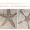 OUT OF LOVE WITH LOVE units of measurement at Kleiner Salon on Berlin Art Grid