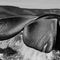 Sebastião Salgado - Genesis at C/O Berlin on Berlin Art Grid