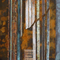 Temporary Gallery Berlin presents Maria Misselbrook at Temporary Gallery Berlin on Berlin Art Grid