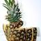 Finissage - Tropicana 404 at SomoS on Berlin Art Grid