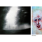Temporary Gallery Berlin presents the following art installation at Temporary Gallery Berlin on Berlin Art Grid