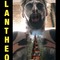 PLANTHEON & BIODRUNK, an exhibition by TEURI HAARLA at HilbertRaum on Berlin Art Grid
