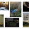 Formations // Kuratorengespräch ‚On curating contemporary Photography’ (mit Lena Fließbach, Claudia Seidel, n.n.) at aff Galerie on Berlin Art Grid