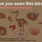 Have you seen this bird? An exhibition about the dodo at Centrum on Berlin Art Grid