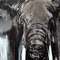 Ralf Koenemann – Animare at artfein GALLERY on Berlin Art Grid