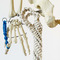 Jeanno Gaussi . Imaginary Friends at Galerie Koal on Berlin Art Grid