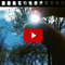 Video Valores - Berlin Screening/Q&A/Masterclass Intro at SomoS on Berlin Art Grid