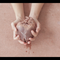 The Heart Shall Be In The Title at SomoS on Berlin Art Grid