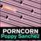 PornCorn - Watch & Talk at The Hole on Berlin Art Grid
