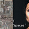 Opening | Species of Spaces at Luisa Catucci Gallery on Berlin Art Grid