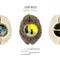 Lidó Rico | Brain Trails at Luisa Catucci Gallery on Berlin Art Grid