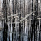 Riitta Päiväläinen: River Notes at Gallery Taik Persons on Berlin Art Grid