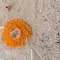 Performing states of hidden earth at Das Giftraum on Berlin Art Grid