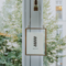 Botanical Outlines at Mirage Bistrot on Berlin Art Grid
