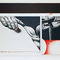 50 Jahre Galerie Poll. Does sex causes cancer? Ein Querschnitt durch das Werk des Berliner Realisten Peter Sorge (1937-2000) at Galerie Poll on Berlin Art Grid