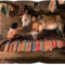 'Shape of Time' by Indian Panoramic Photographer Amit Pasricha at Under the Mango Tree Gallery on Berlin Art Grid