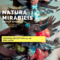 Natura Mirabilis at Luisa catucci gallery on Berlin Art Grid