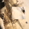 Running With The Hunted at Circleculture Gallery on Berlin Art Grid