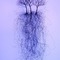 Shane Pennington: Leaving the Shade at Sur la Montagne on Berlin Art Grid
