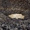 Edward Burtynsky . Oil at C/O Berlin on Berlin Art Grid