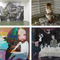 The Echo - Although I am still alive at Kunstraum Kreuzberg/Bethanien on Berlin Art Grid