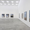 Jean-Luc Mylayne at Sprüth Magers Berlin on Berlin Art Grid
