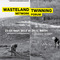 Wasteland Twinning Network Forum  at ZK/U  on Berlin Art Grid