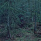 Michael Lange. WALD Landschaften der Erinnerung at Alfred Ehrhardt Stiftung on Berlin Art Grid