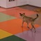 Erik A. Frandsen - Fuzzy Relations at Galerie Mikael Andersen on Berlin Art Grid