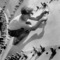 Margaret Bourke-White. Photographs 1930 – 1945 at Martin-Gropius-Bau on Berlin Art Grid