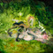 Winston Chmielinski – Laughter at Egbert Baqué Contemporary Art on Berlin Art Grid